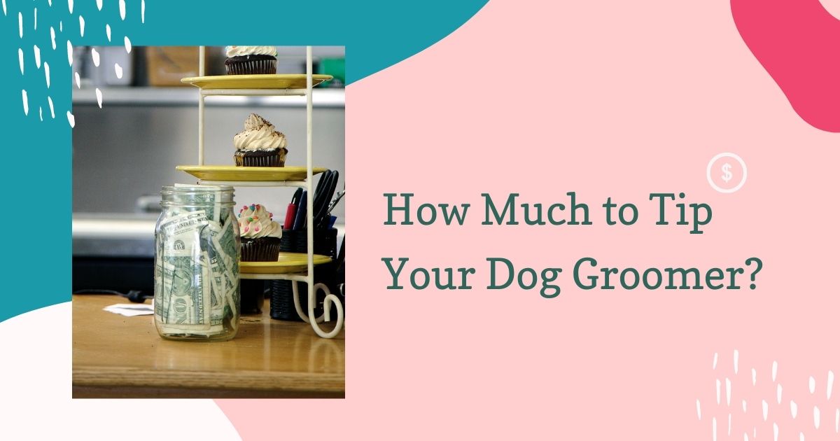 How Much to Tip Your Dog Groomer