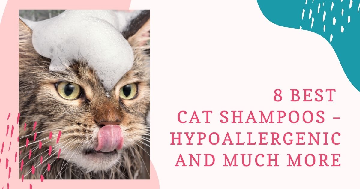 8 Best Cat Shampoos – Hypoallergenic and MUCH MORE