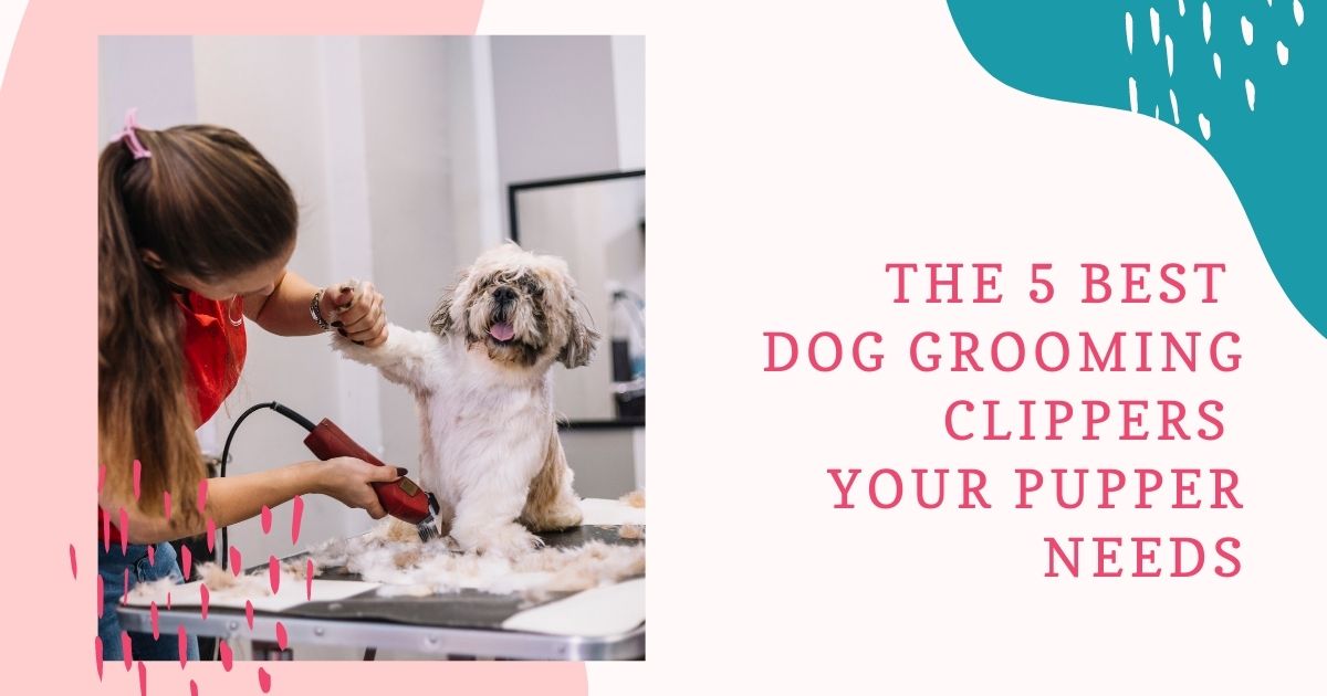 The 5 Best Dog Grooming Clippers Your Pupper NEEDS