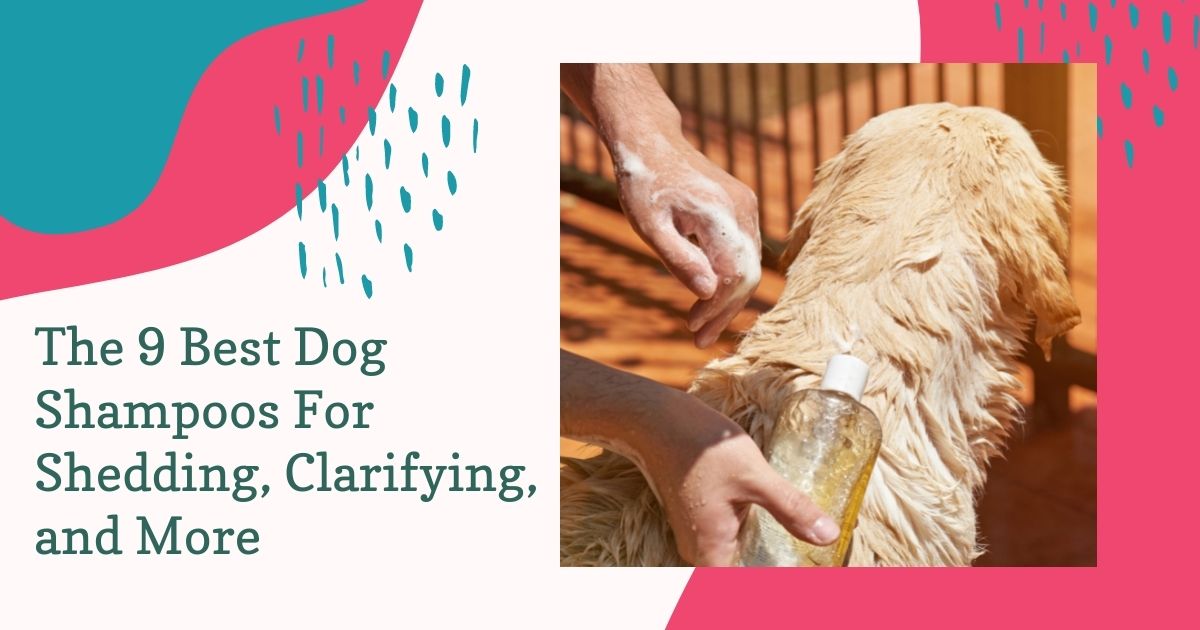 The 9 Best Dog Shampoos For Shedding, Clarifying, and More