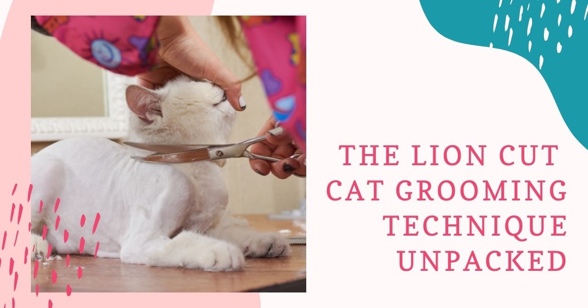 The Lion Cut Cat Grooming Technique UNPACKED