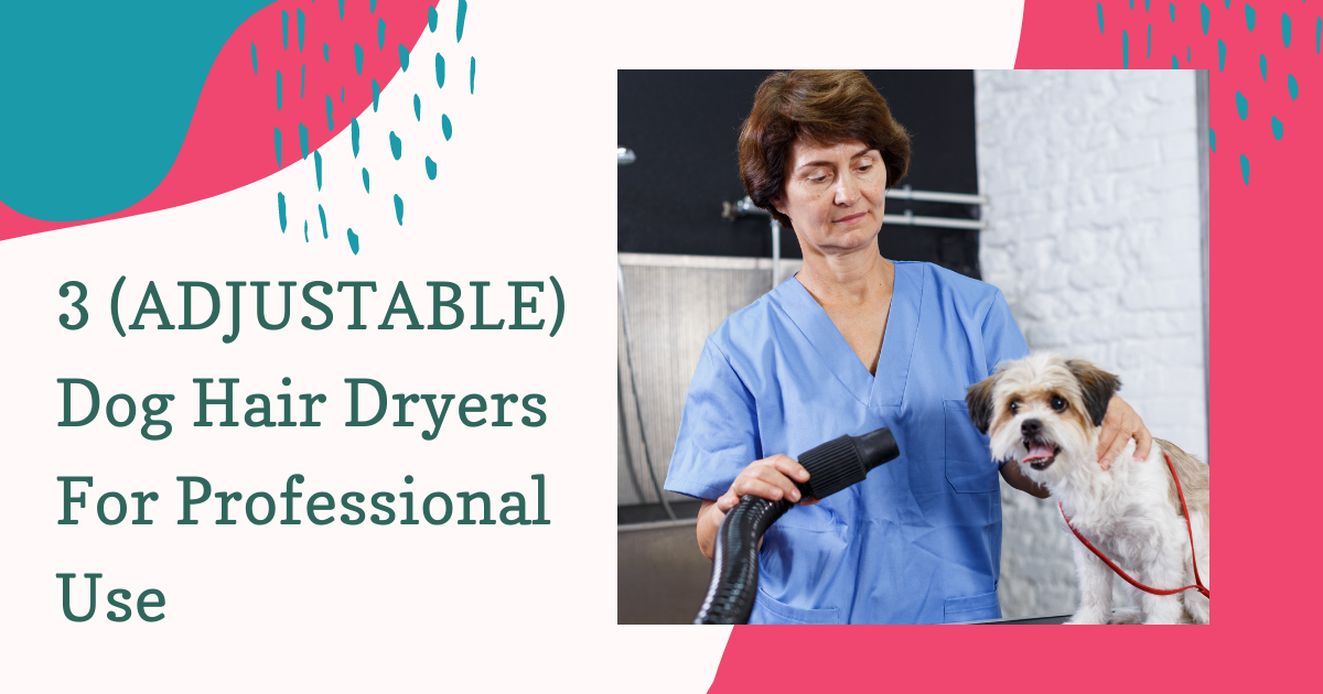 Dog Hair Dryers For Professional Use