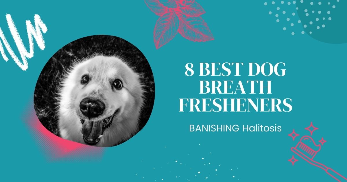 dog breath freshener