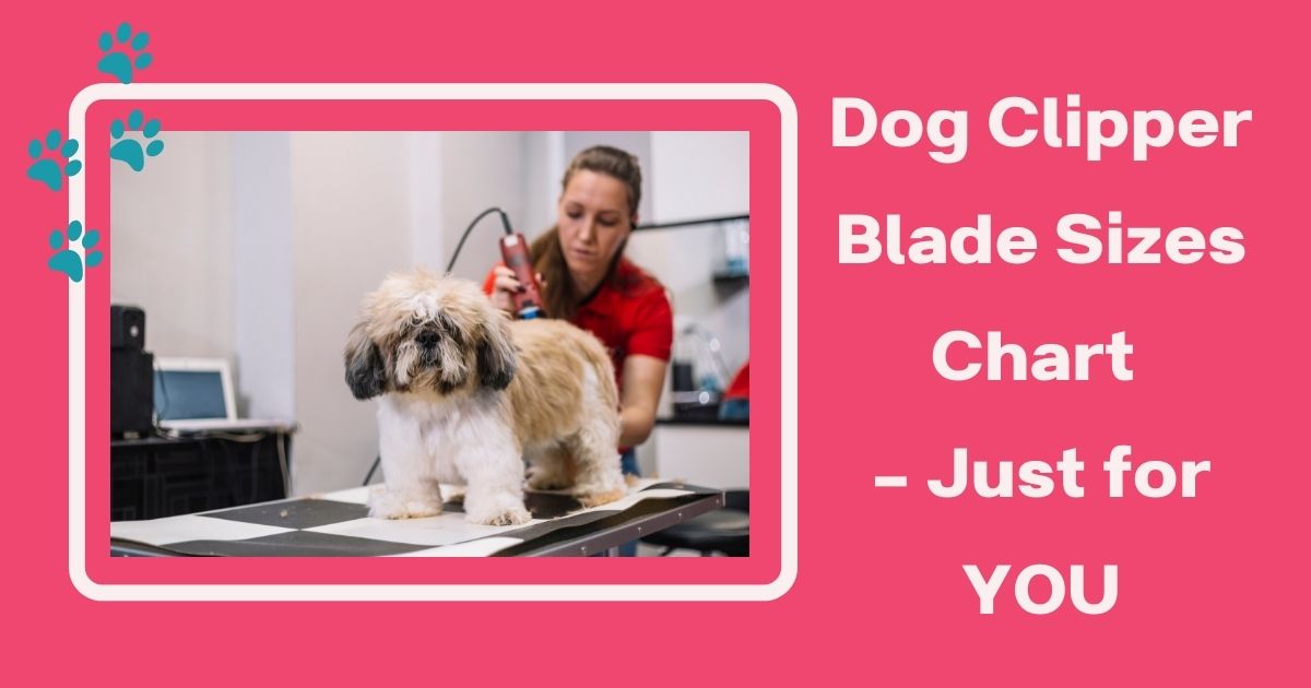 dog clipper blade sizes chart