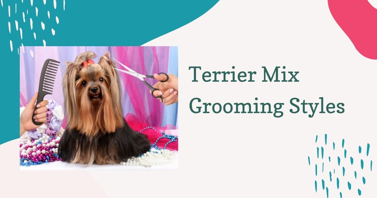 terrier mix grooming styles