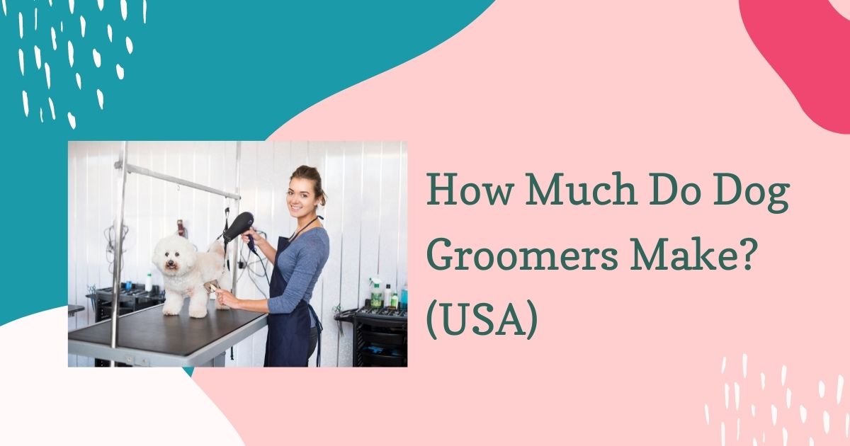 how much do dog groomers make