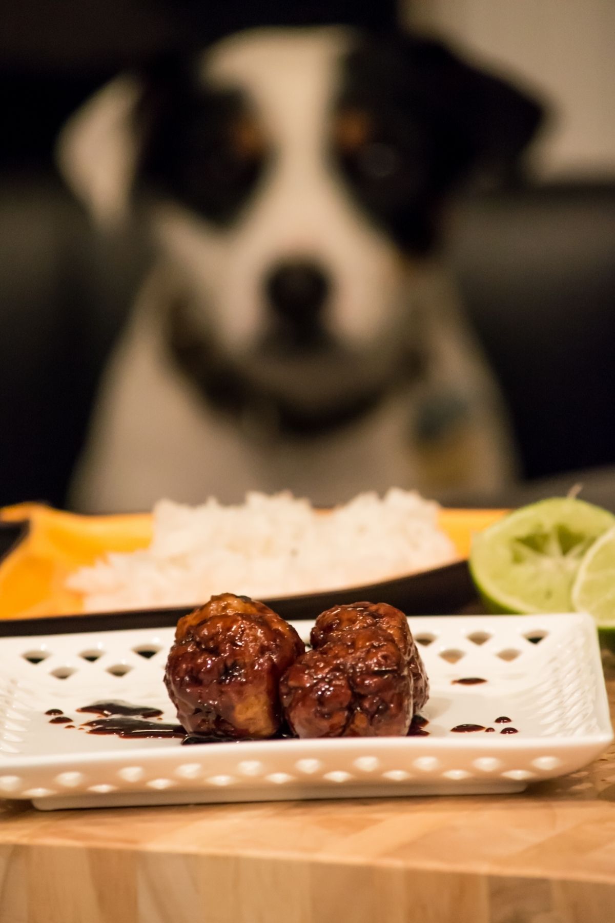 Meatballs on plate with rice and cute dog