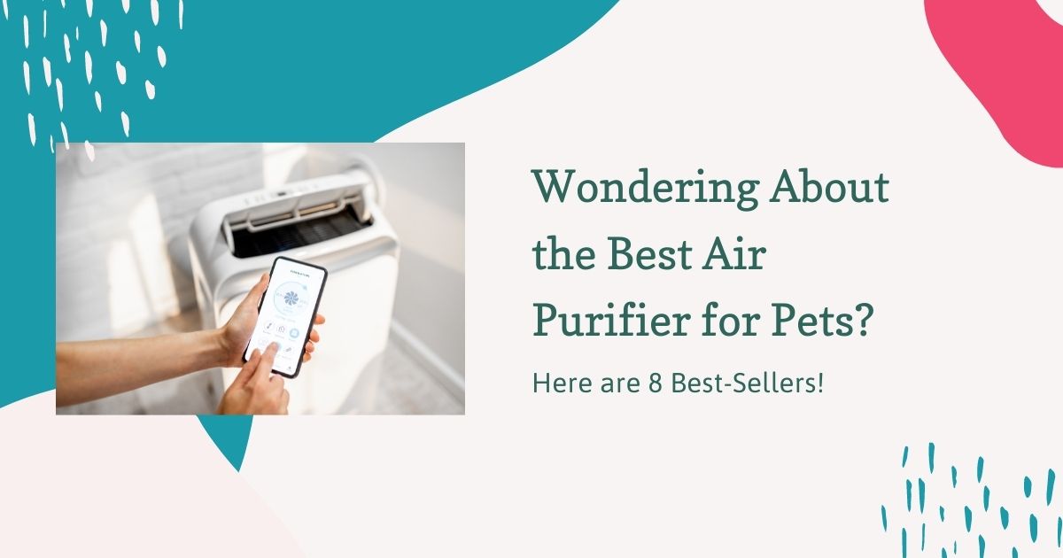 Best air purifier for pets