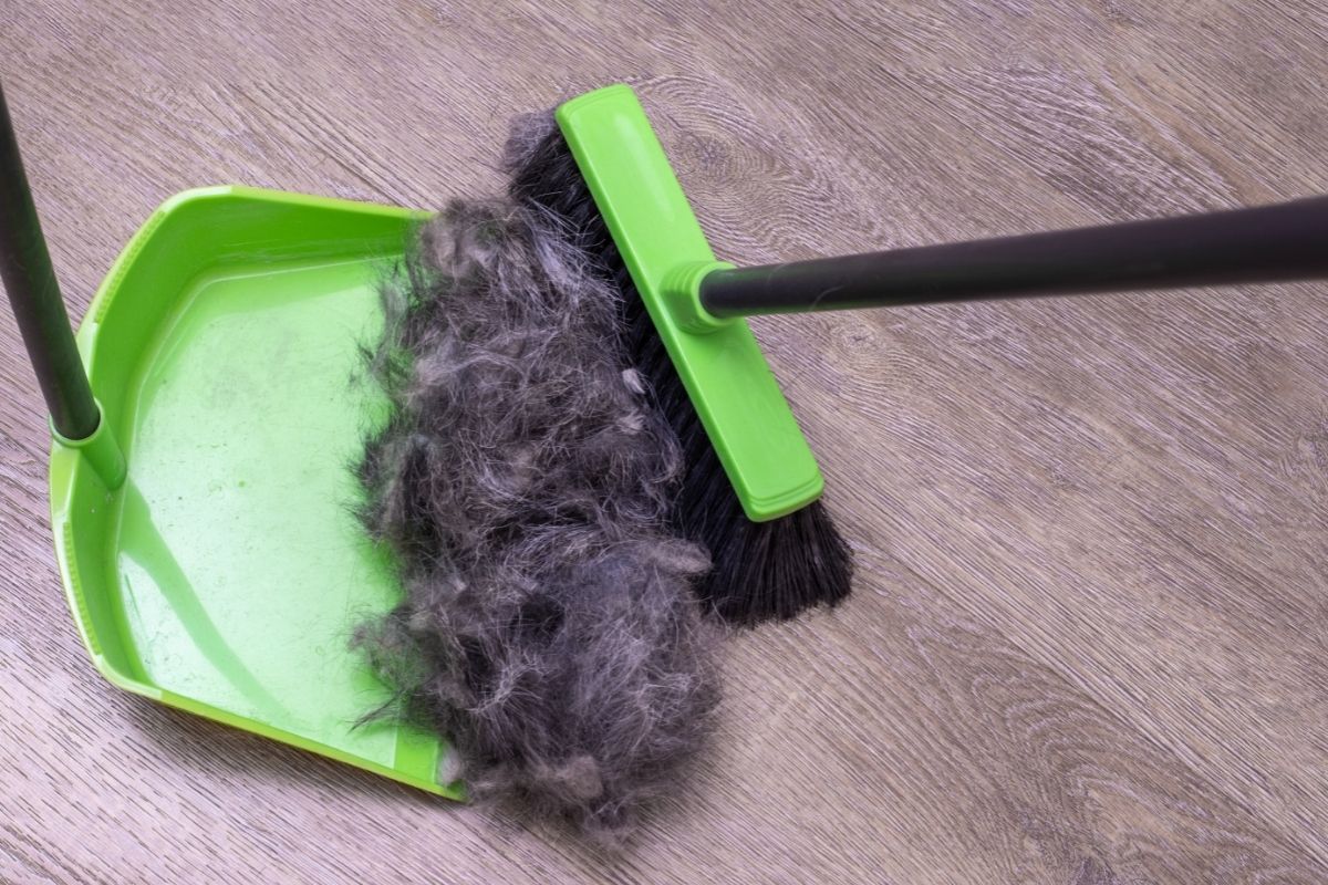 Pet hair broom