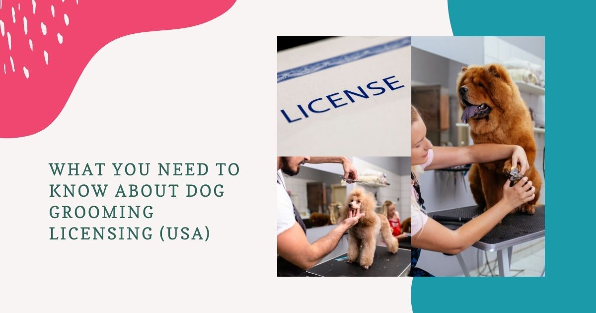 dog grooming licensing