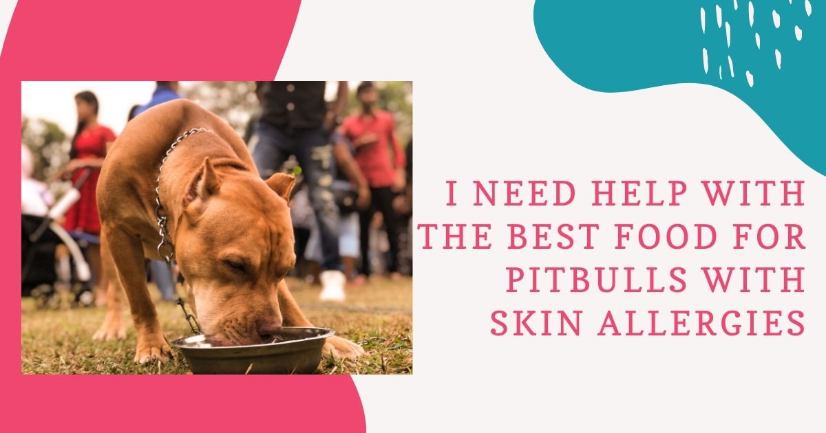 best food for pitbulls with skin allergies