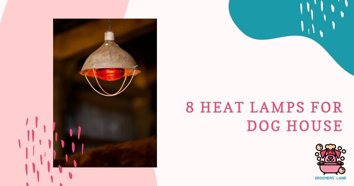 heat lamps for dog house