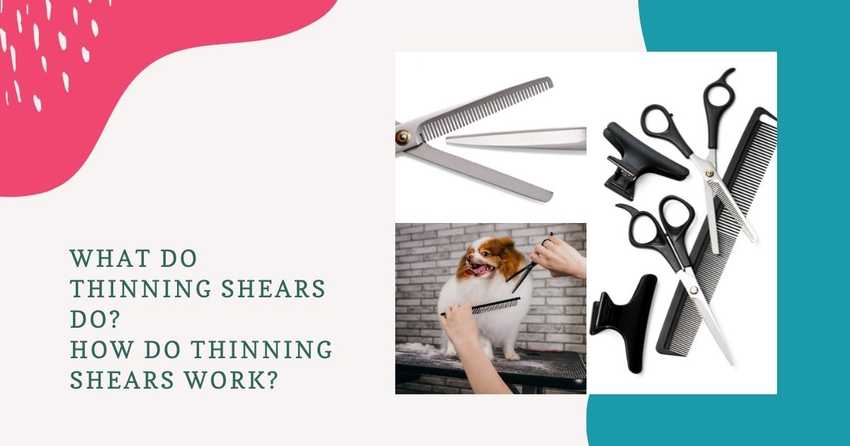 what do thinning shears do