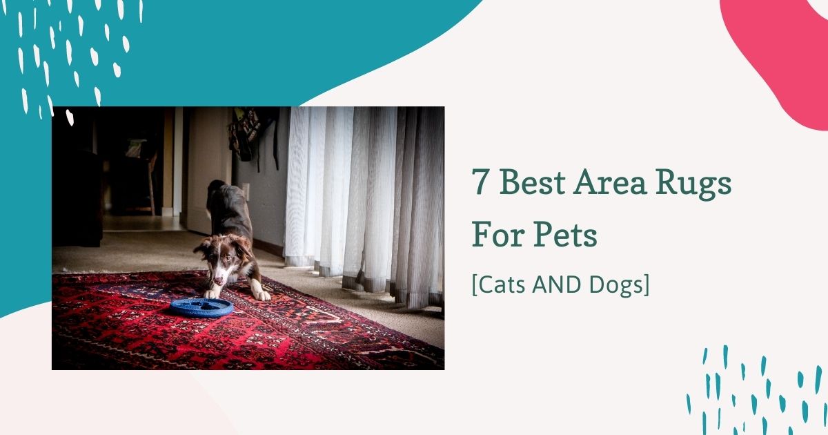 best area rugs for pets