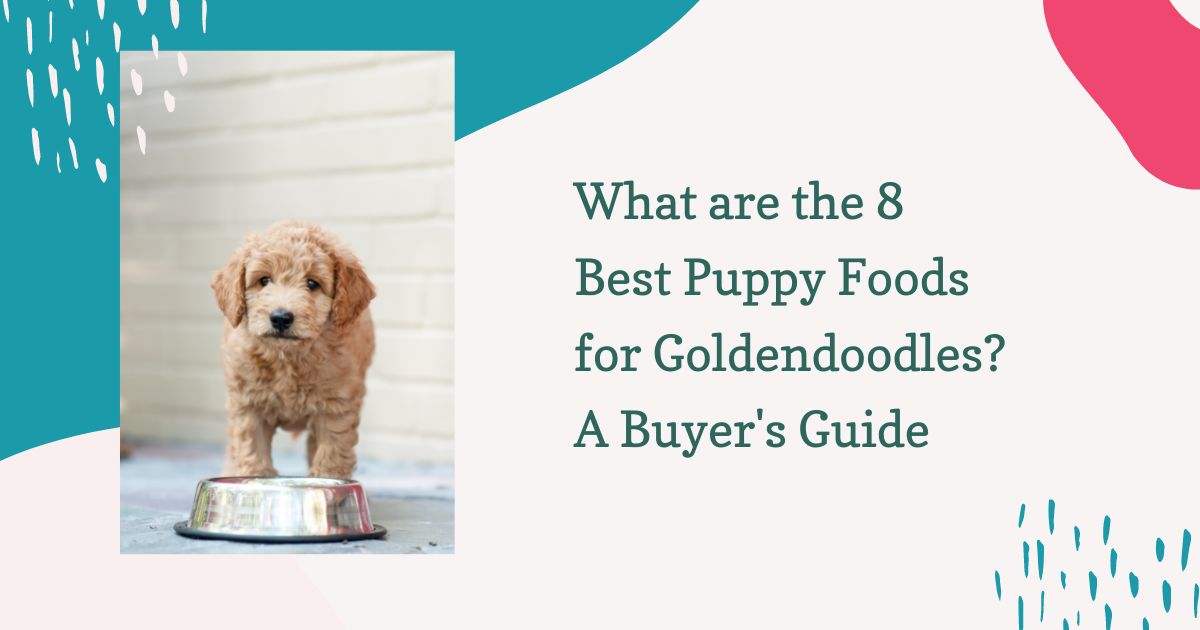 Best Puppy Foods for Goldendoodles