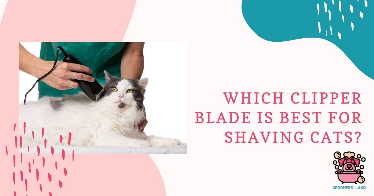 which clipper blade is best for shaving cats