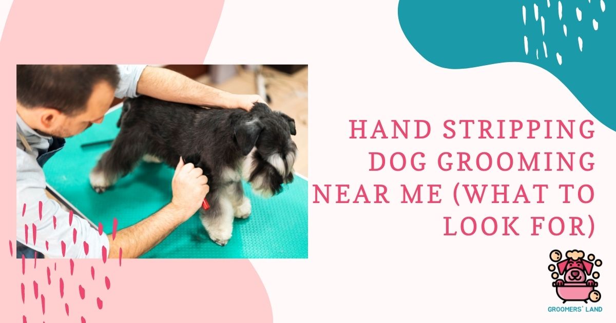 hand stripping dog grooming near me