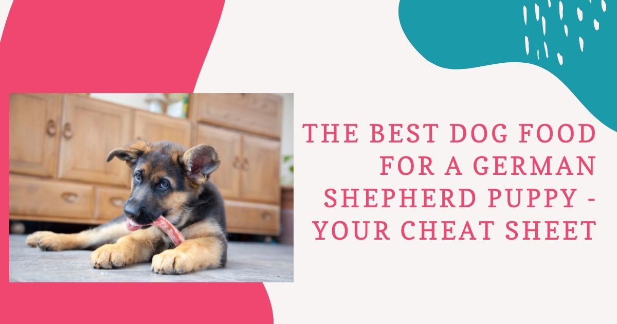 best dog food for a german shepherd puppy