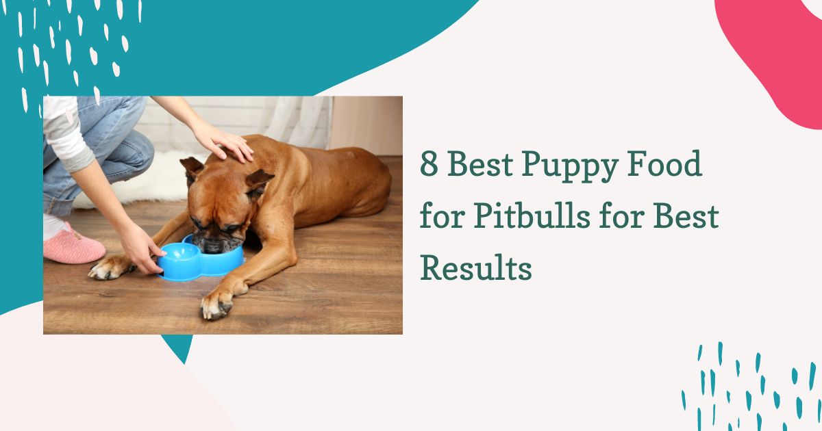 best puppy food for pitbulls