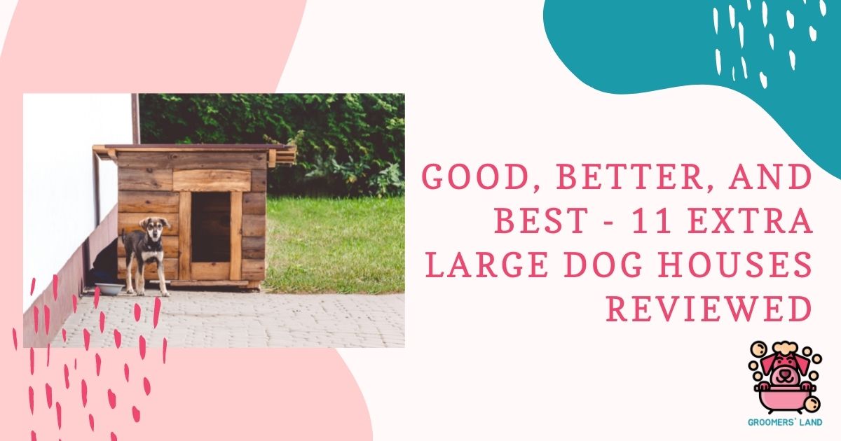 extra large dog houses