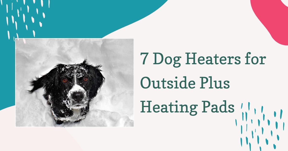 dog heaters for outside