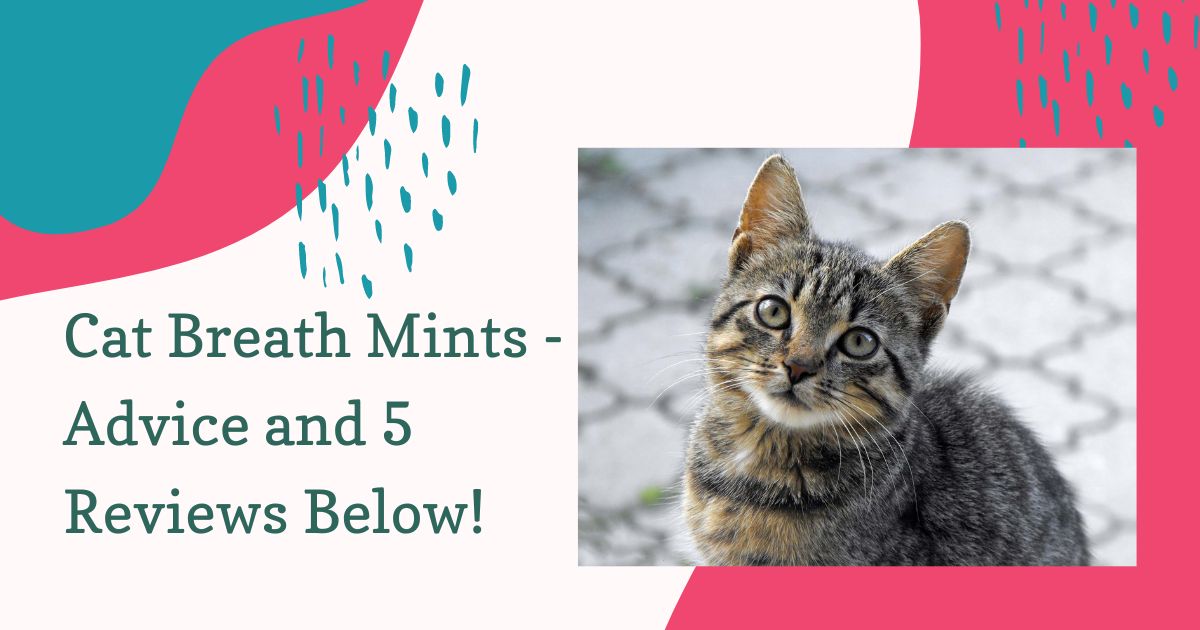 cat breath mints