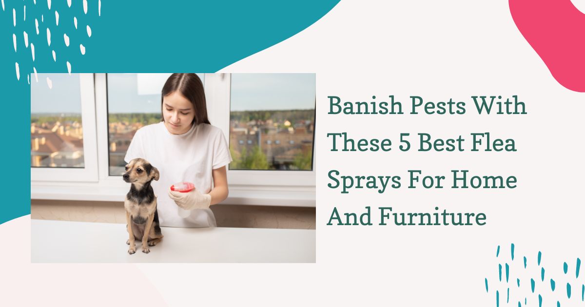 Best Flea Sprays For Home And Furniture