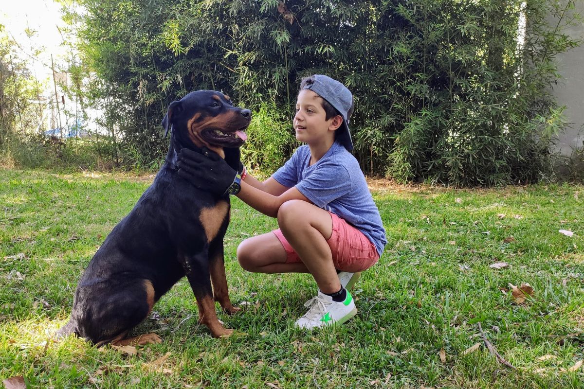 Rottweiler and child