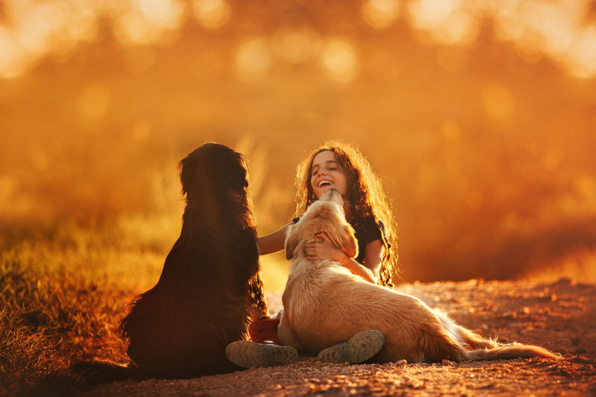 Girl playing with two dogs