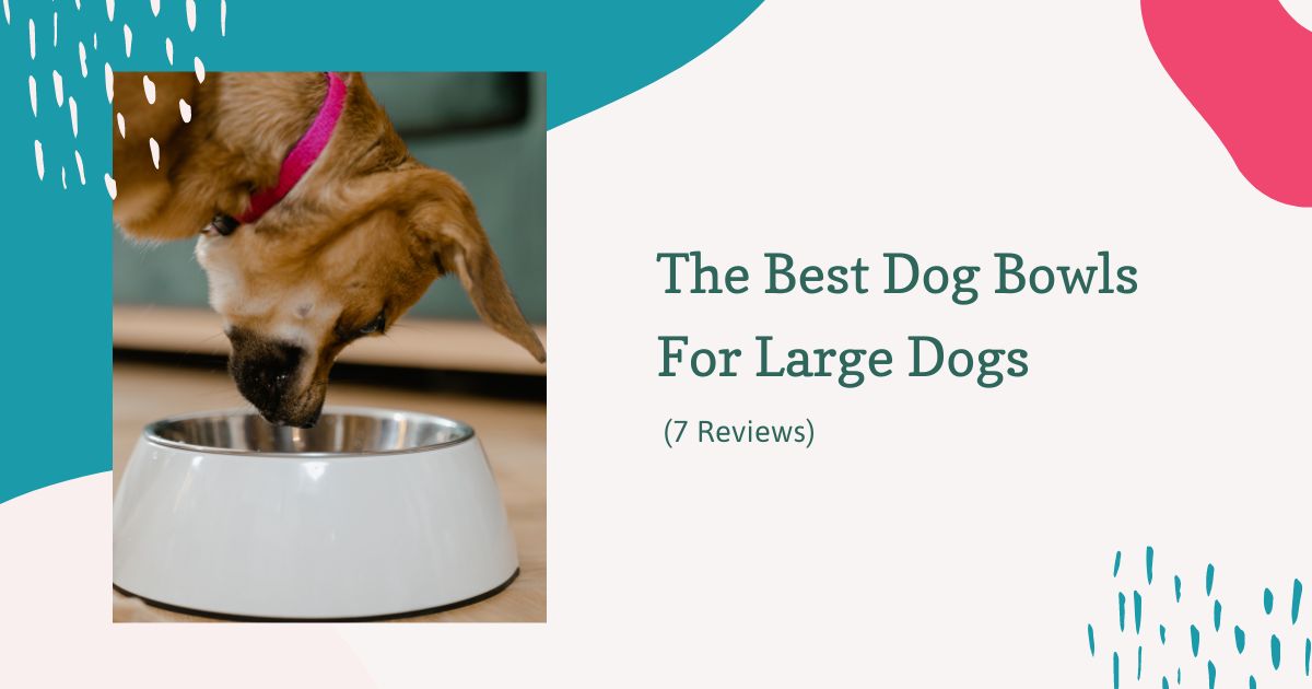 best dog bowls for large dogs