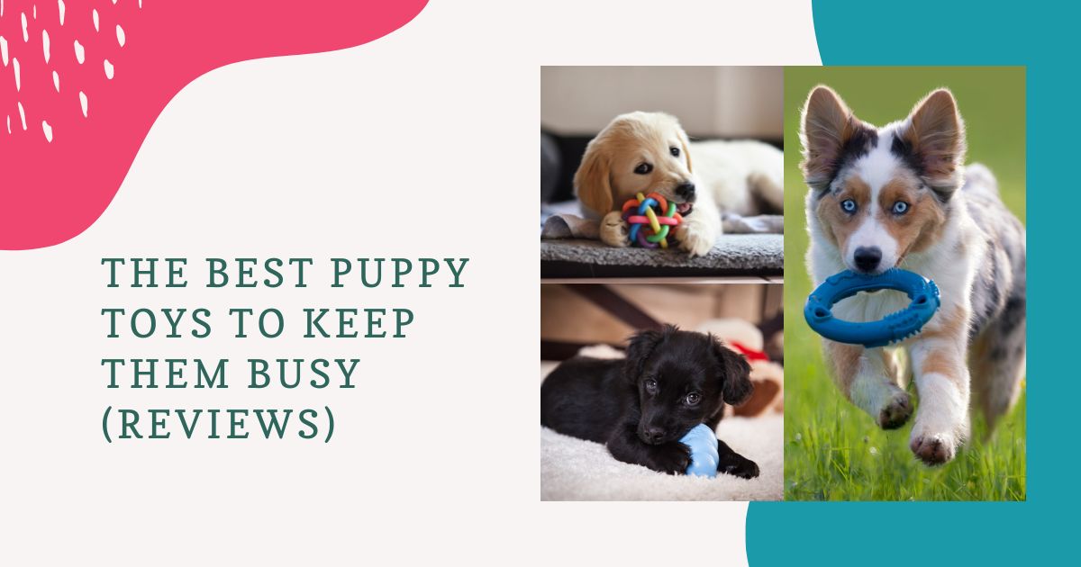 best puppy toys to keep them busy