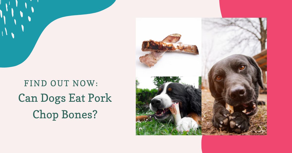 Can Dogs Eat Pork Chop Bones?