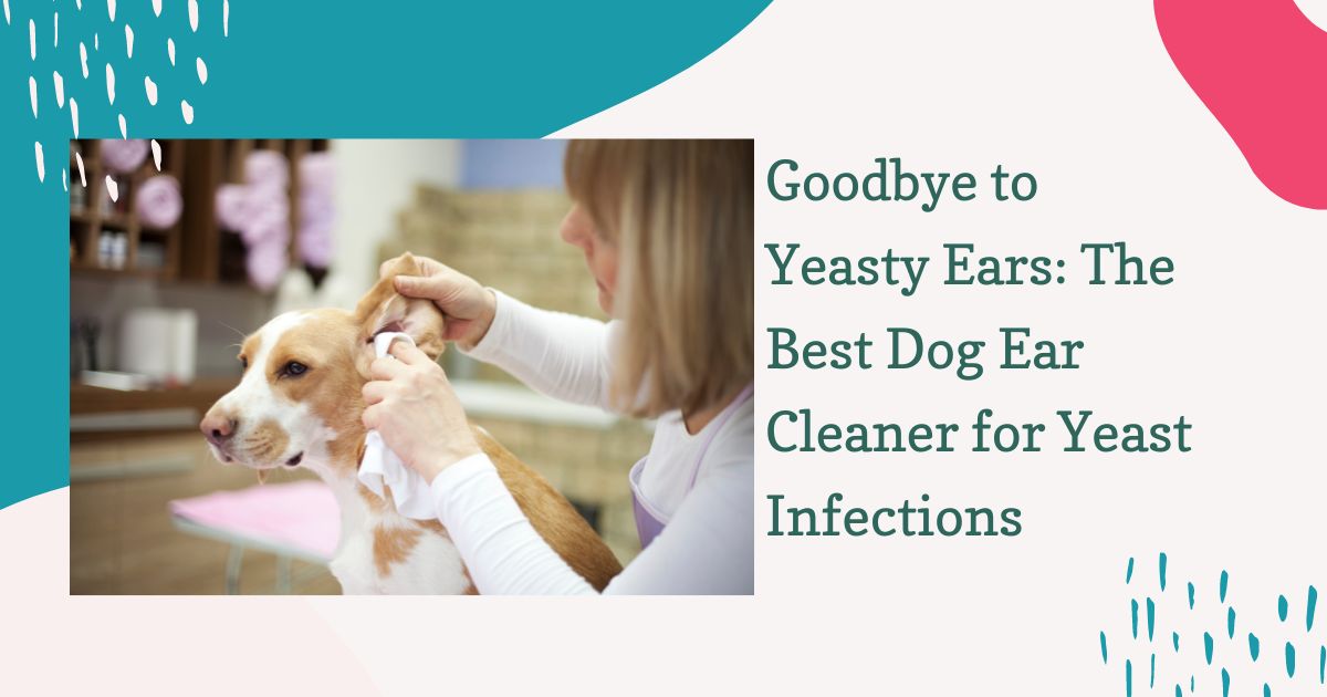 Dog Ear Cleaner for Yeast Infections