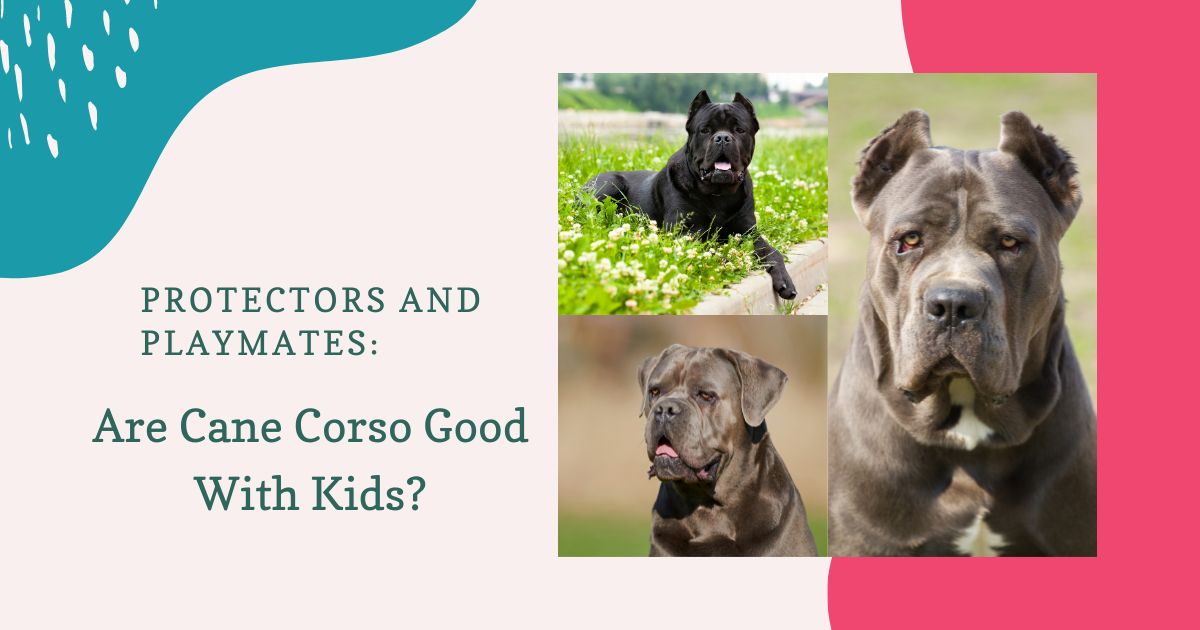 Are Cane Corso Good With Kids