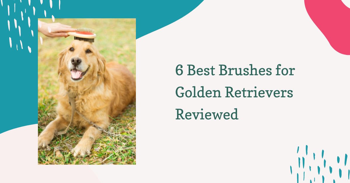 Brushes for Golden Retrievers