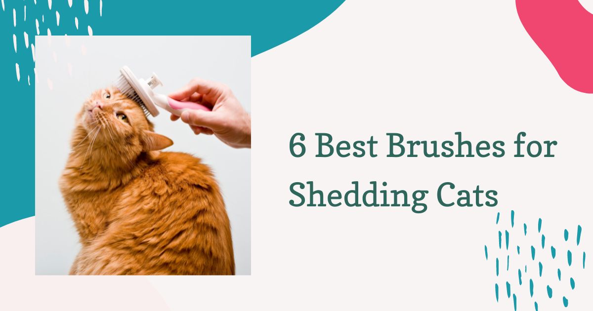 Brushes for Shedding Cats