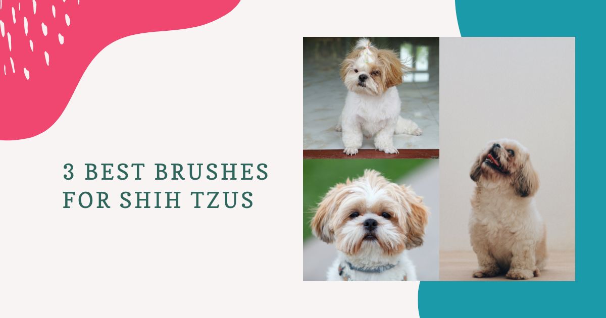 Brushes for Shih Tzus