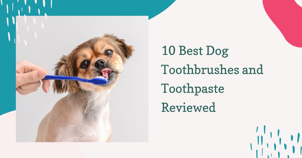 Dog Toothbrushes and Toothpaste