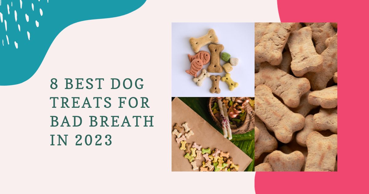 Dog Treats for Bad Breath